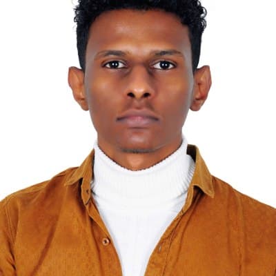 Hossameldin Ahmed Hassan